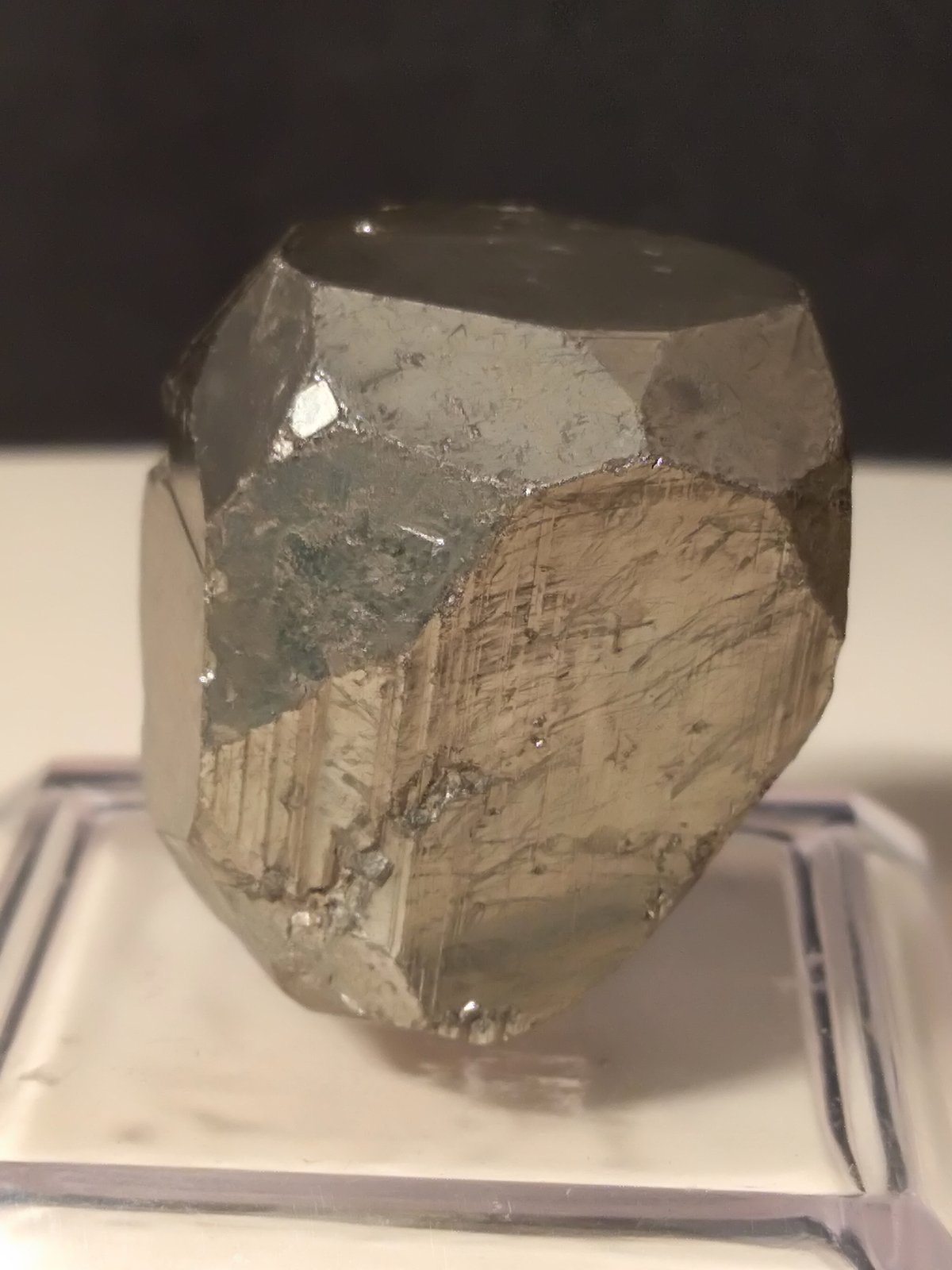 Pyrite
26 x 20,3 mm
(Autor: Sante Celiberti)