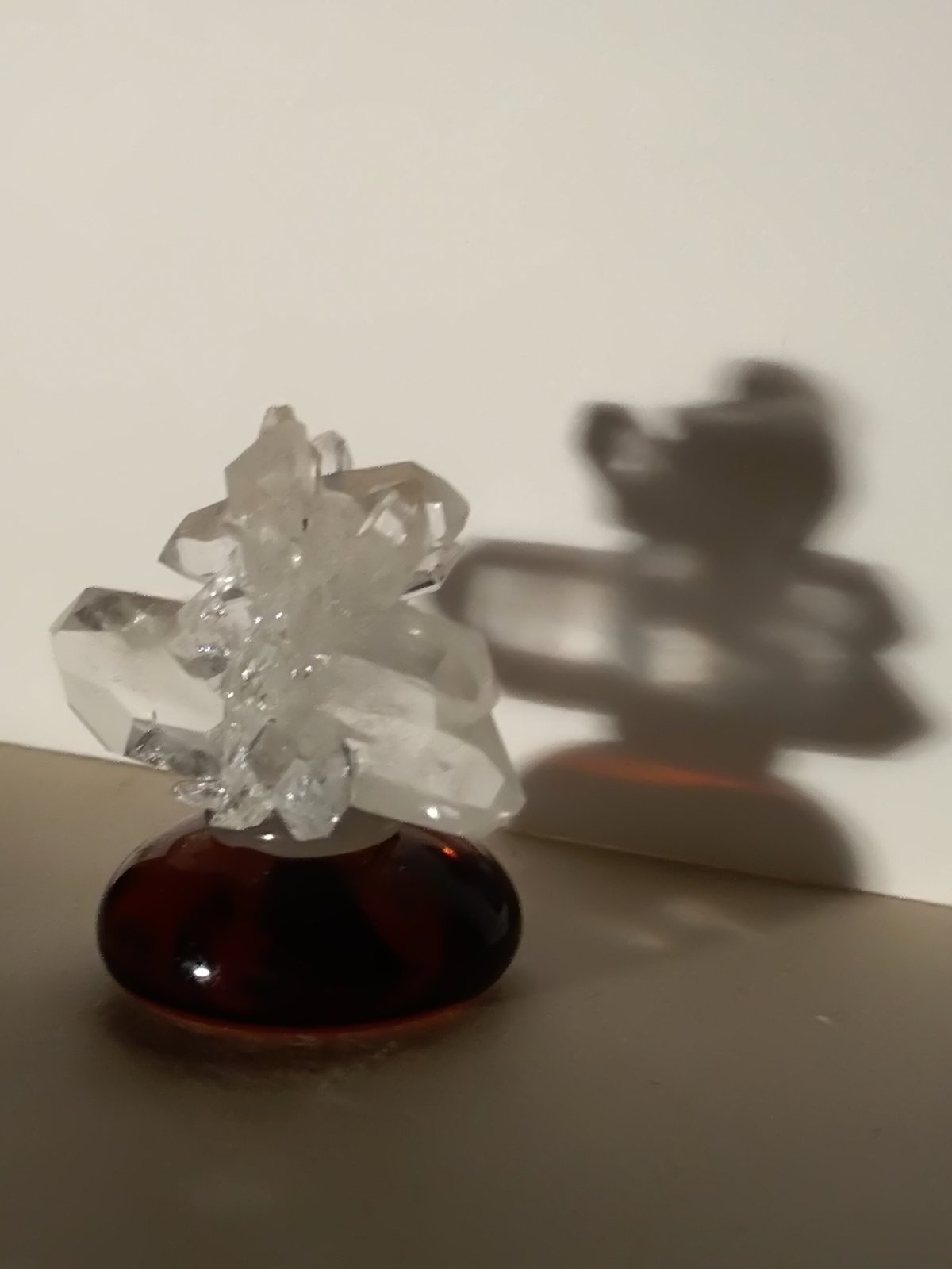 Quartz
28 x 19 mm
(Autor: Sante Celiberti)