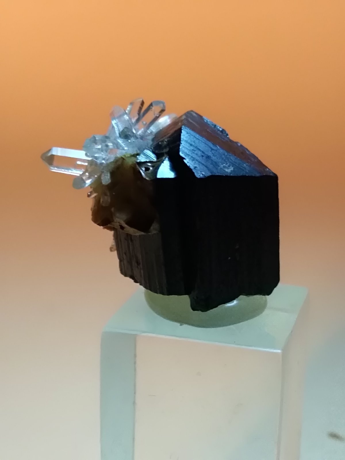 Ilvaite, Quartz
20 x 18 mm
(Autor: Sante Celiberti)