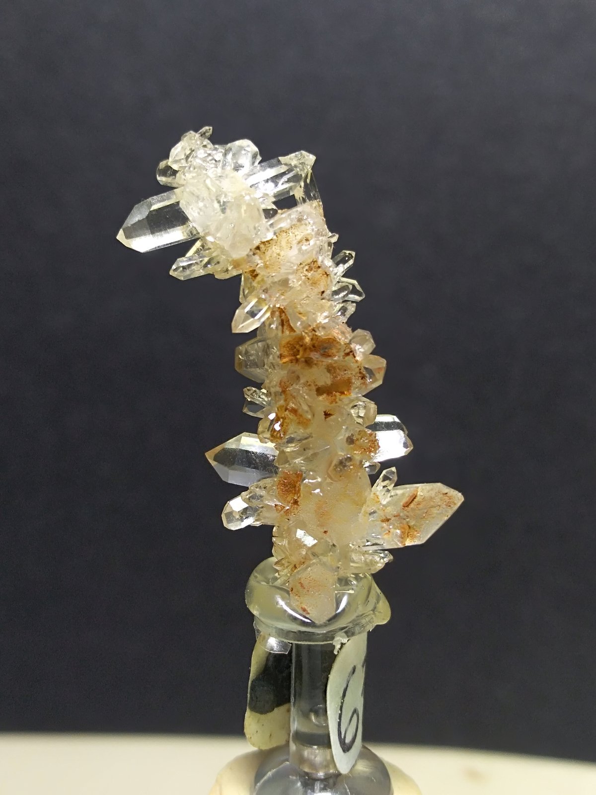 Quartz
29 x 15 mm
(Autor: Sante Celiberti)
