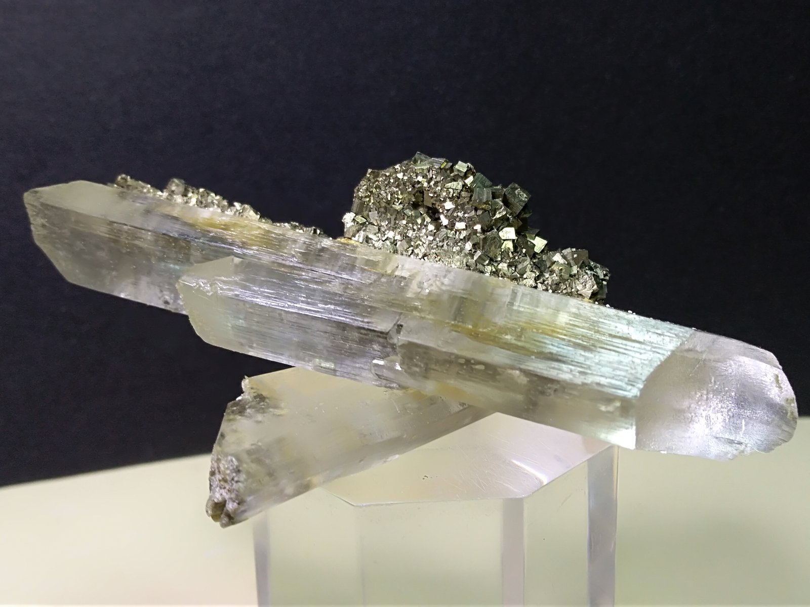Gypsum, Pyrite
73 x 65 mm
(Autor: Sante Celiberti)