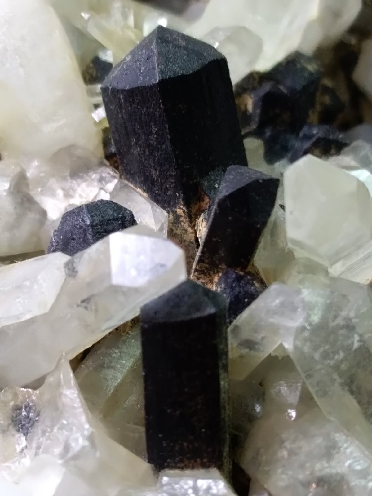 Ilvaite, Quartz
13 x 12 cm
(Autor: Sante Celiberti)