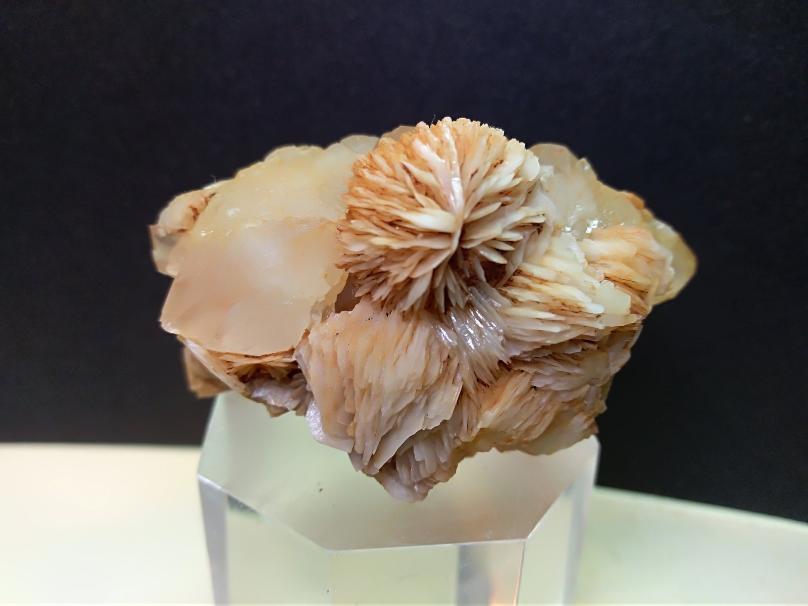 Baryte, Quartz
55 x 33 mm
(Autor: Sante Celiberti)