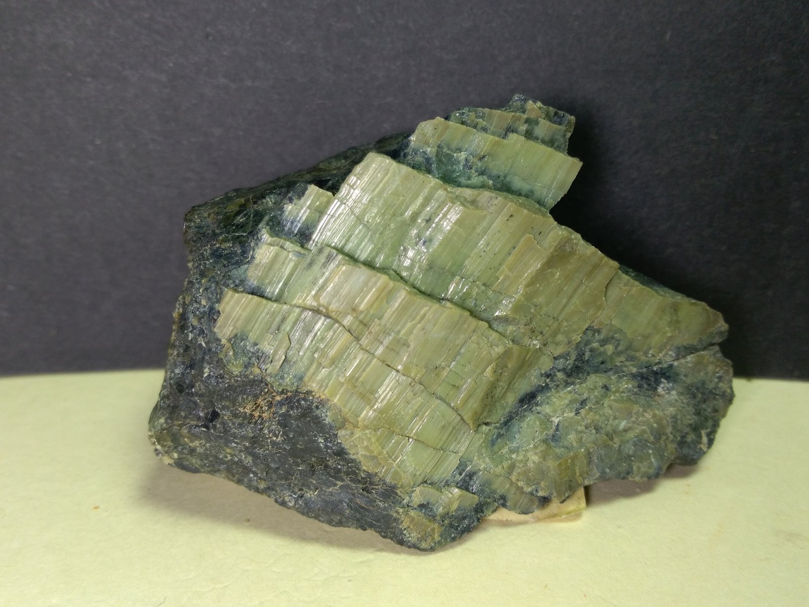 Serpentine (Subgroup)
65 x 45 mm
(Autor: Sante Celiberti)