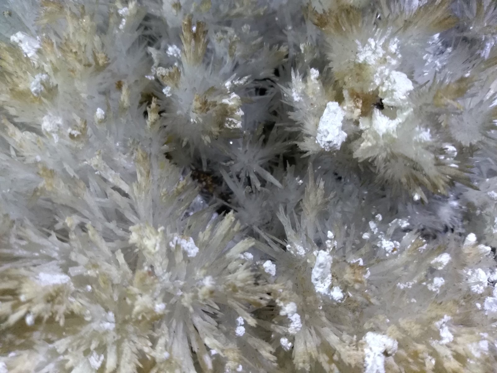 Aragonite, Kaolinite
18 x 12 cm
(Autor: Sante Celiberti)