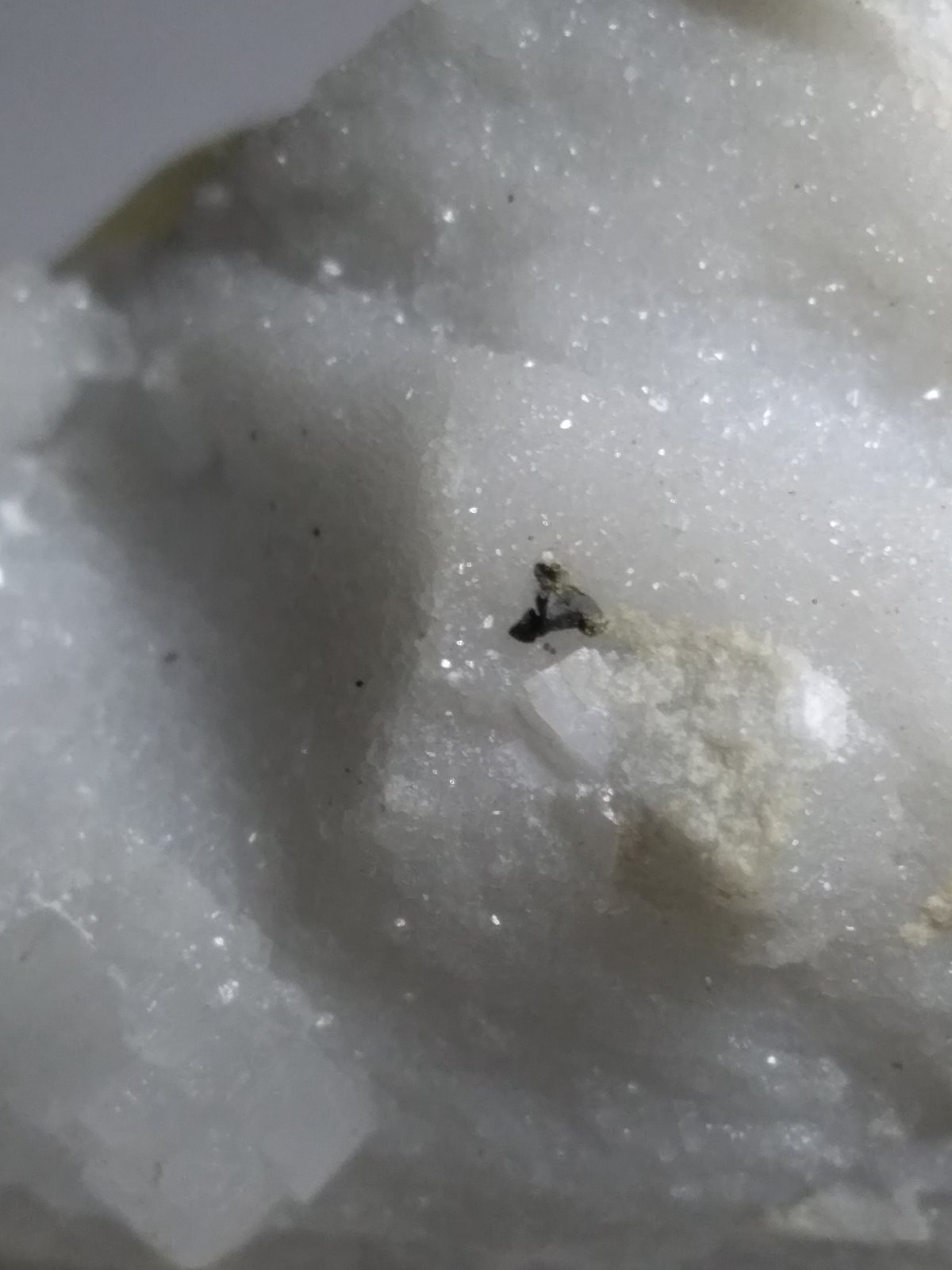Colusite
37 x 27 mm
(Autor: Sante Celiberti)