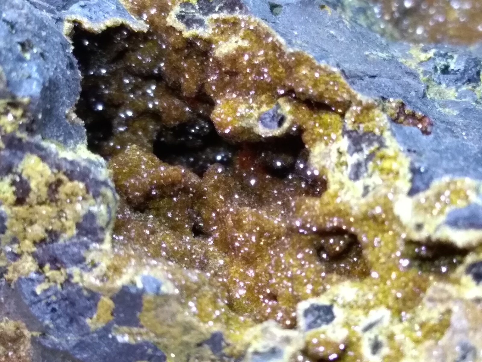 Jarosite
87 x 86 mm
(Autor: Sante Celiberti)