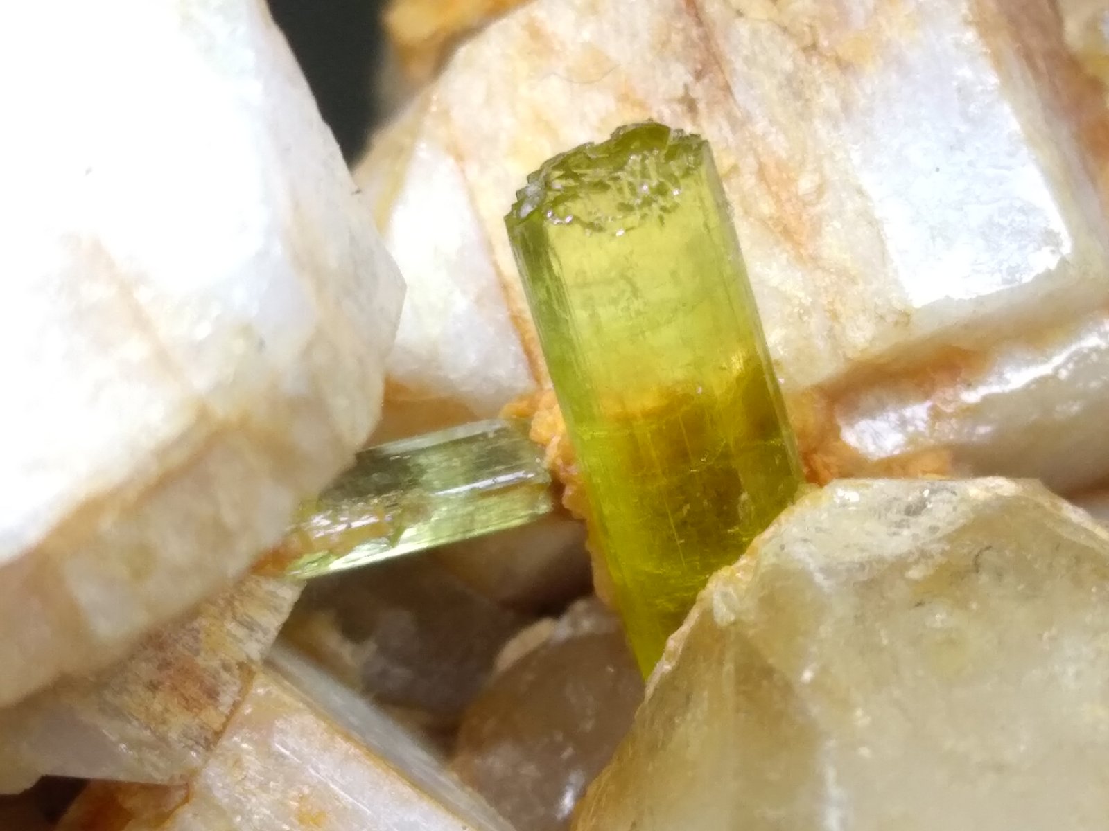 Elbaite, Orthoclase, Quartz
82 x 45 mm
(Autor: Sante Celiberti)