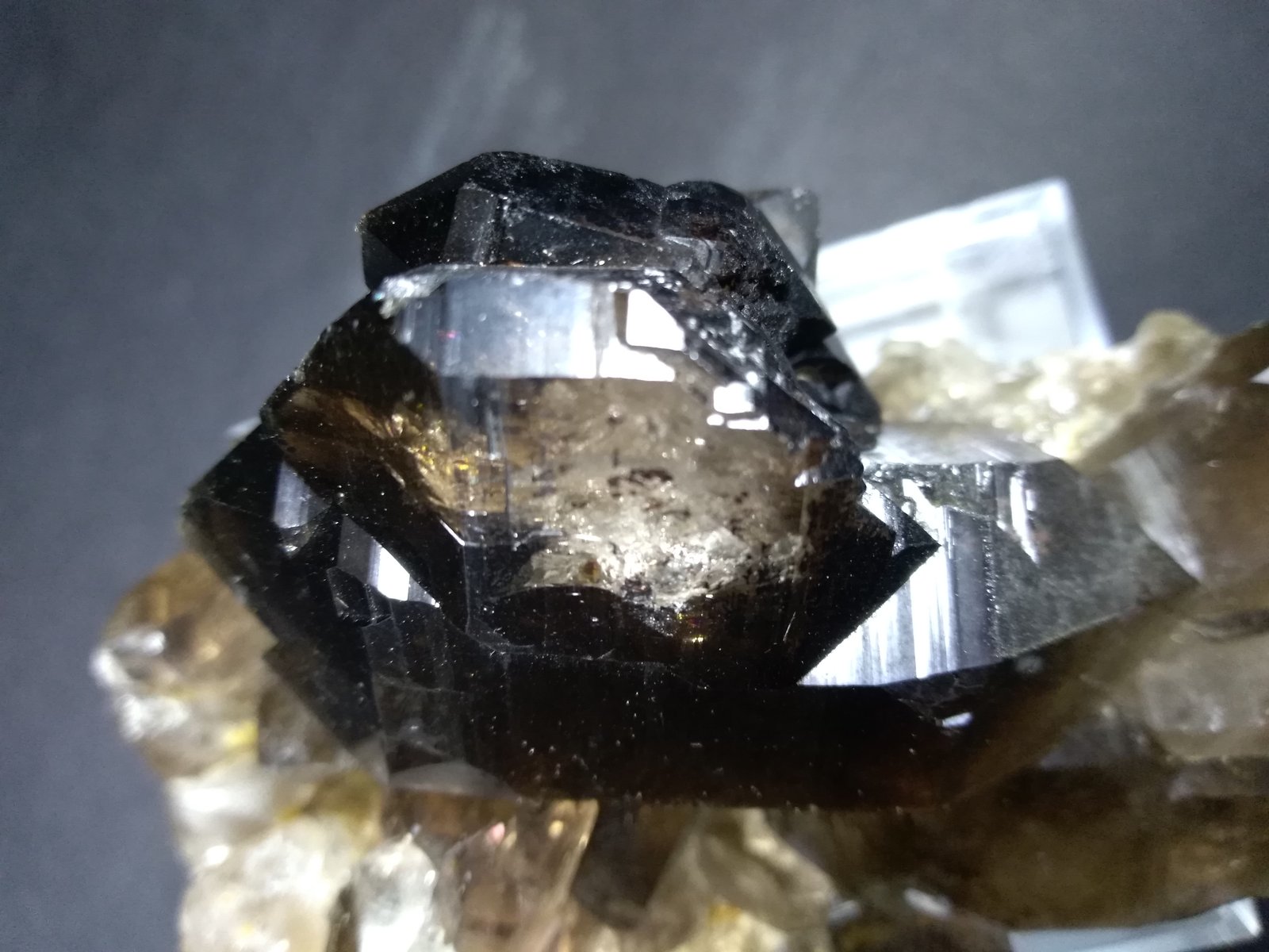 Quartz (variety smoky; variety Gwindel)
10 x 7 cm
(Autor: Sante Celiberti)