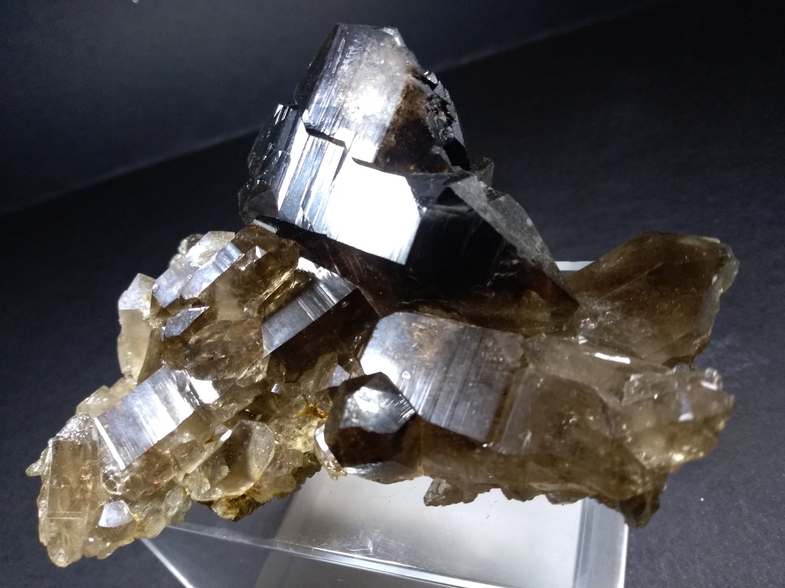 Quartz (variety smoky; variety Gwindel)
10 x 7 cm
(Autor: Sante Celiberti)