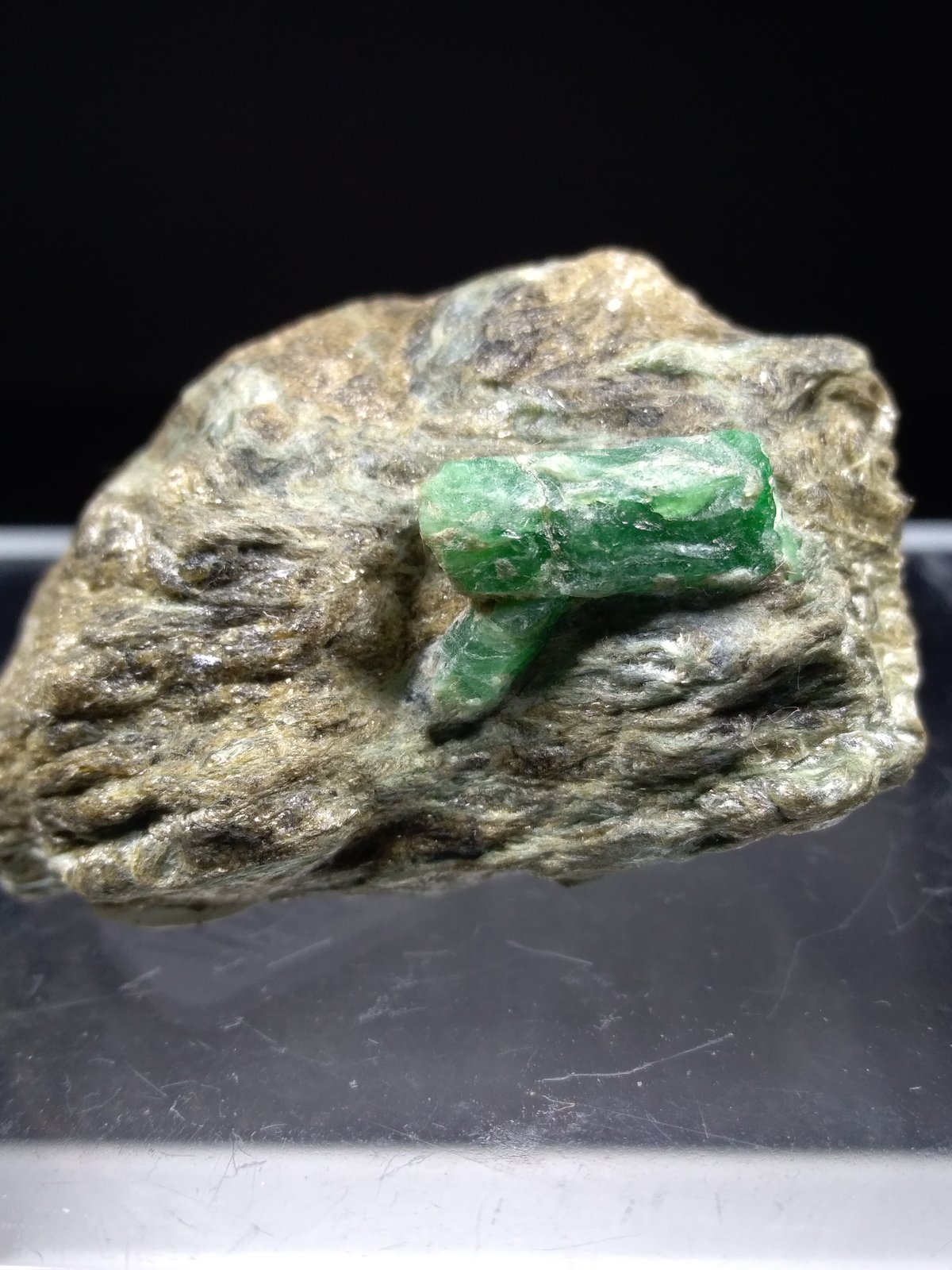 Beryl (variety emerald)
36,8 x 27,4 mm
(Autor: Sante Celiberti)