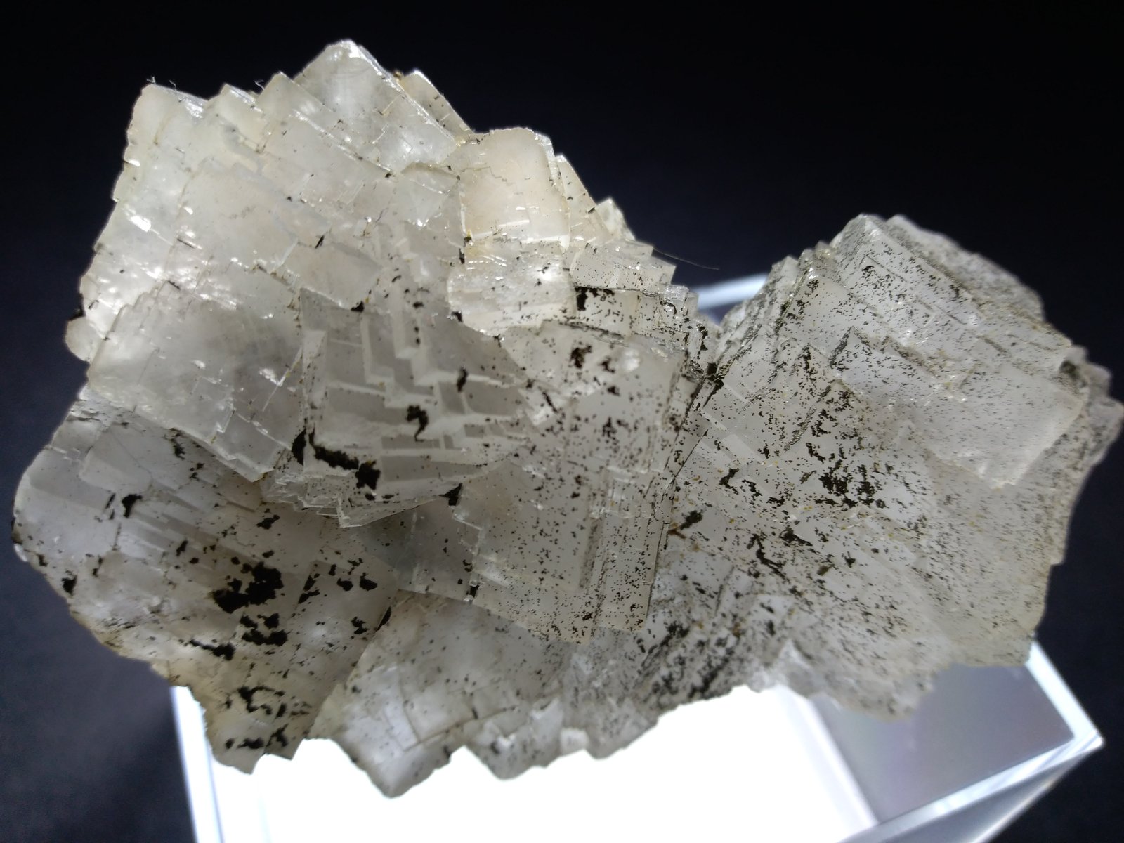 Fluorite, Pyrite
83 x 54 mm
(Autor: Sante Celiberti)