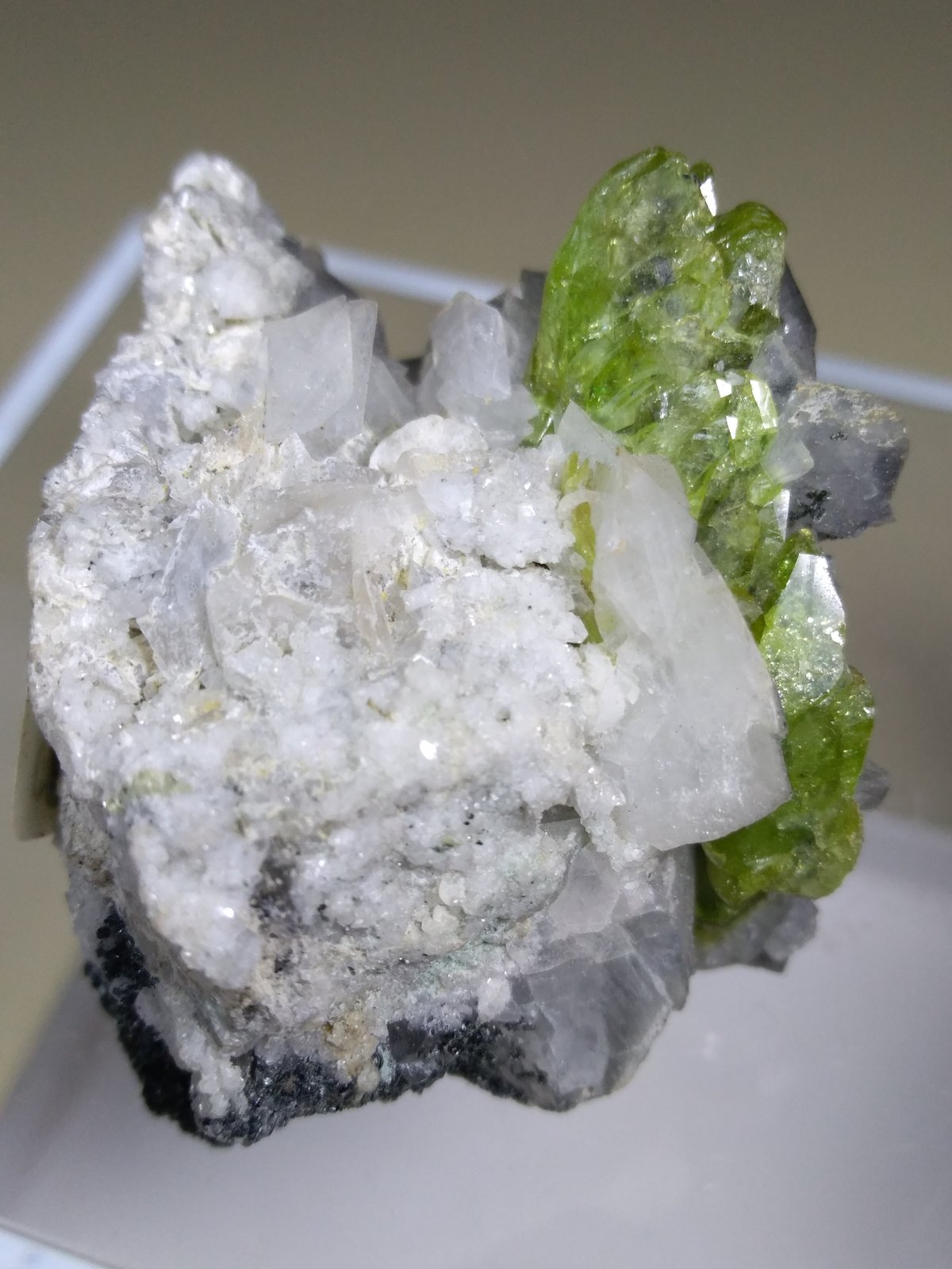 Titanite, Orthoclase (variety Adularia)
39,6 x 31,9 mm
(Autor: Sante Celiberti)