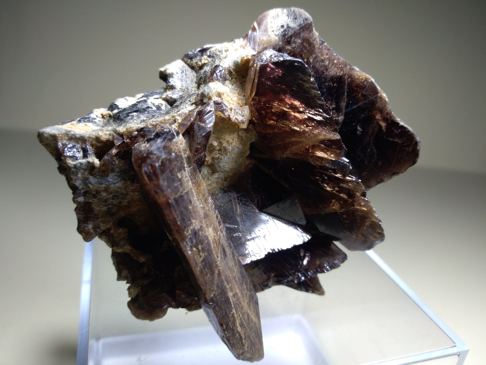 Axinite (Group)
69 x 60 mm
(Autor: Sante Celiberti)