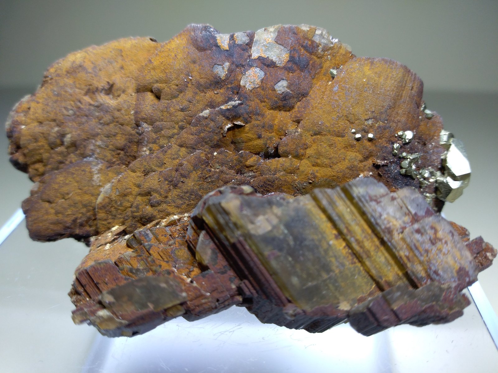 Siderite, Pyrite, Quartz
64 x 41 mm
(Autor: Sante Celiberti)