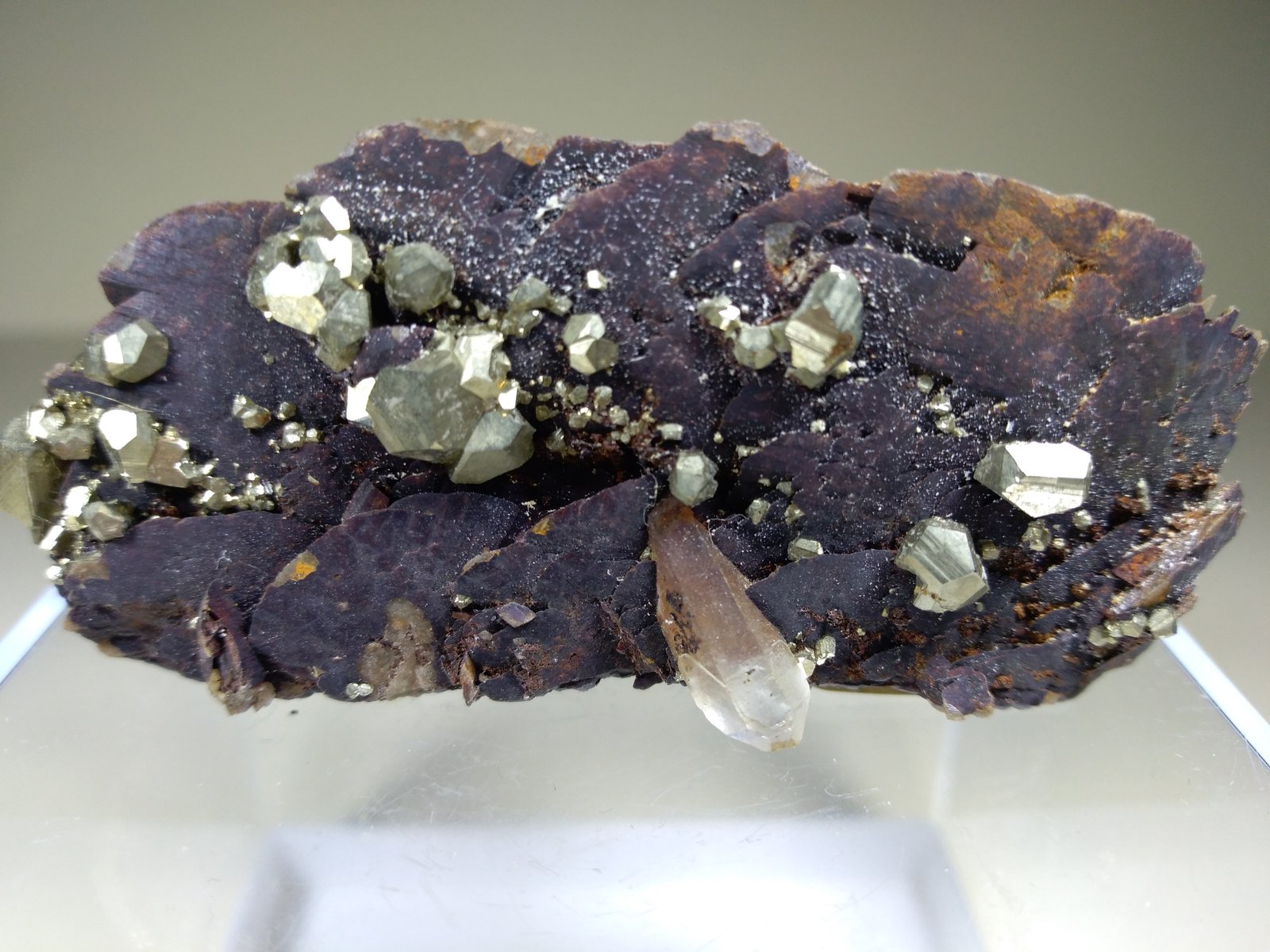 Siderite, Pyrite, Quartz
64 x 41 mm
(Autor: Sante Celiberti)