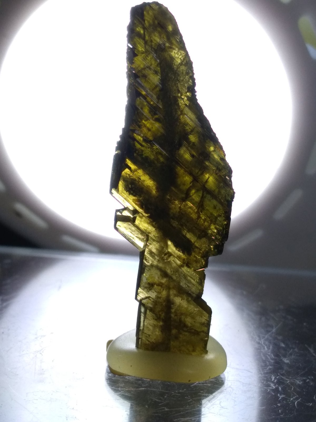 Epidote
38 x 13 mm
(Autor: Sante Celiberti)