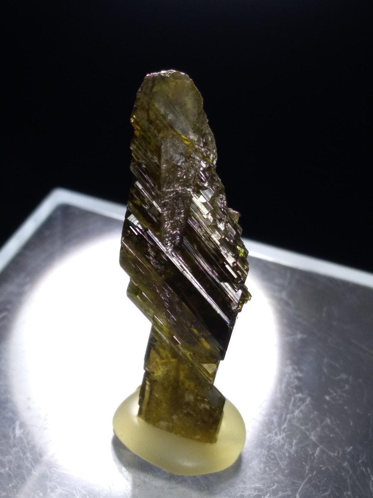 Epidote
38 x 13 mm
(Autor: Sante Celiberti)