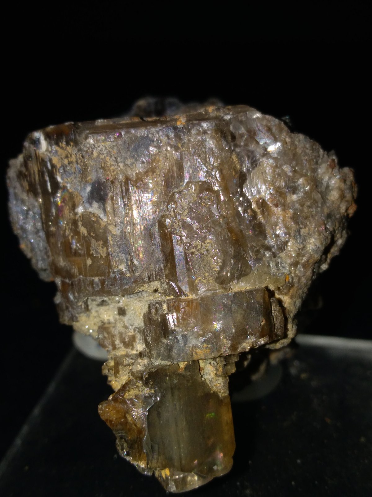 Phosgenite
42 x 38 mm
(Autor: Sante Celiberti)