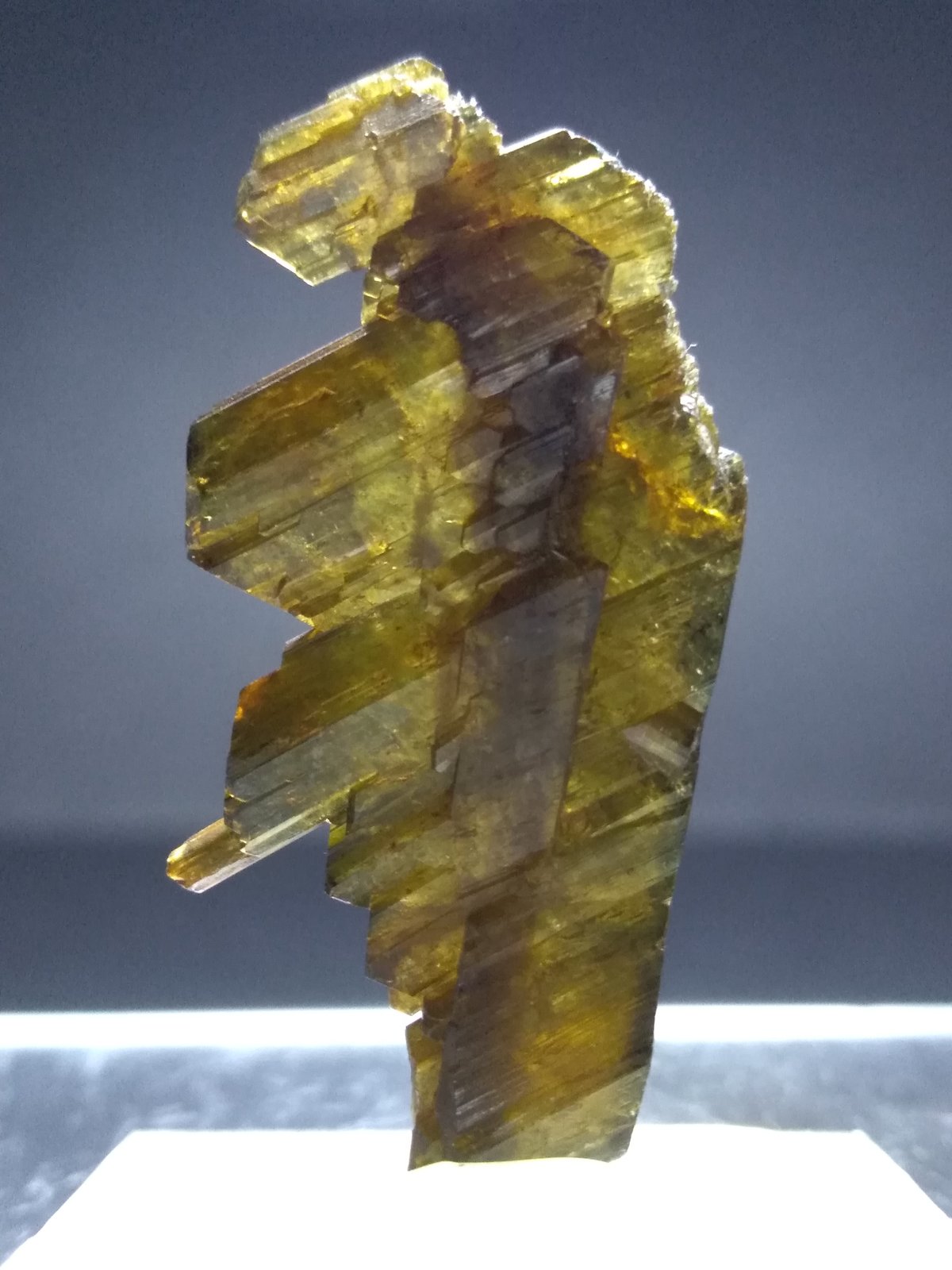 Epidote
36,5 x 20 mm
(Autor: Sante Celiberti)