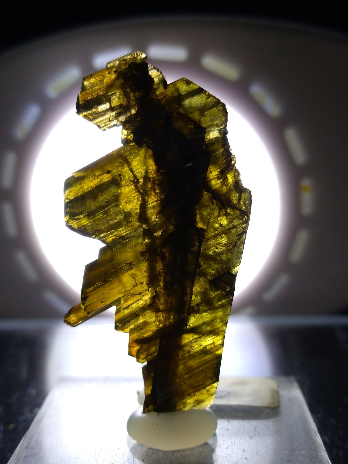 Epidote
36,5 x 20 mm
(Autor: Sante Celiberti)