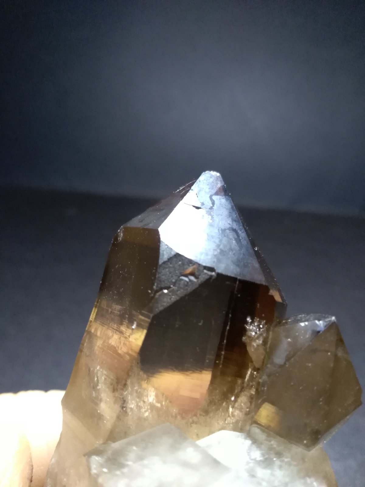 Quartz (variety smoky)
67 x 57 mm
(Autor: Sante Celiberti)