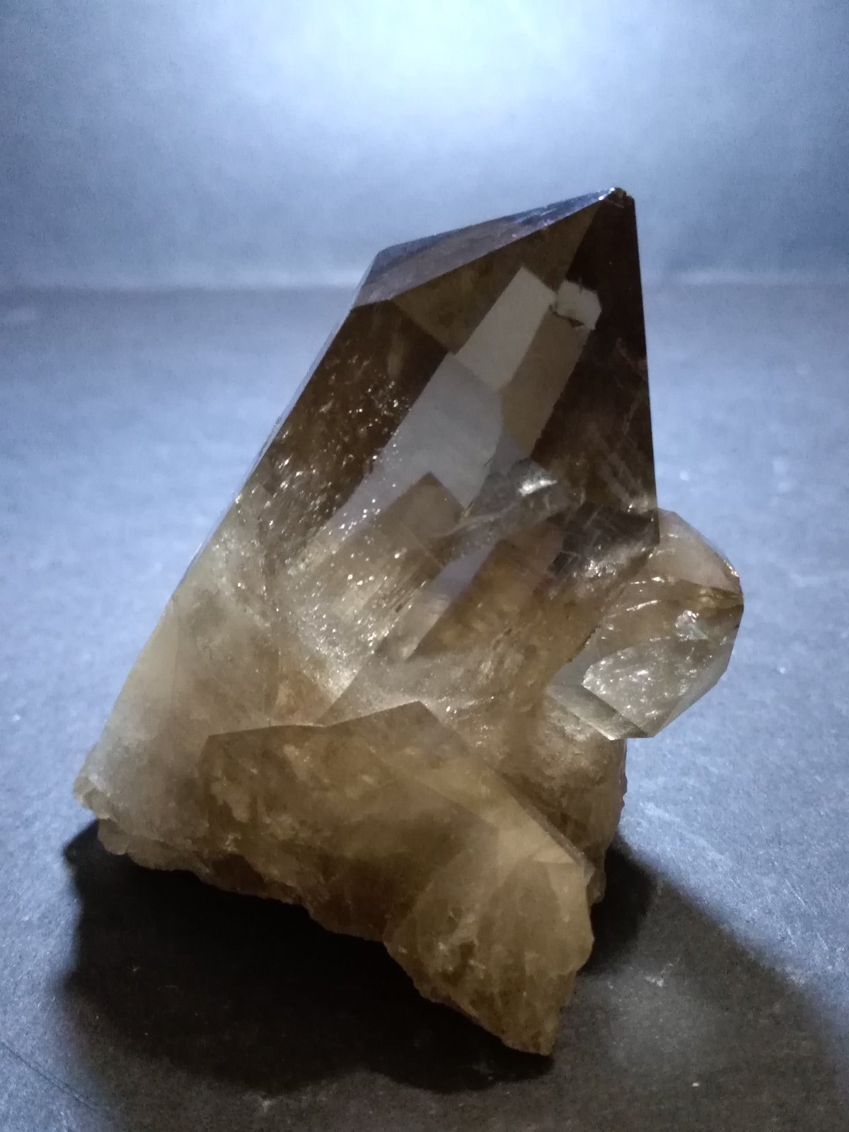Quartz (variety smoky)
67 x 57 mm
(Autor: Sante Celiberti)