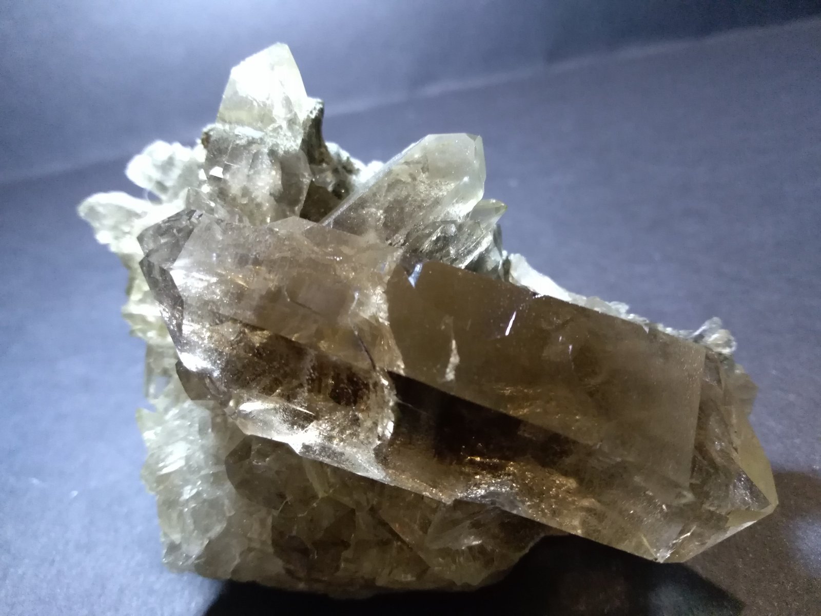 Quartz (smoky)
89 x 55 mm
(Autor: Sante Celiberti)