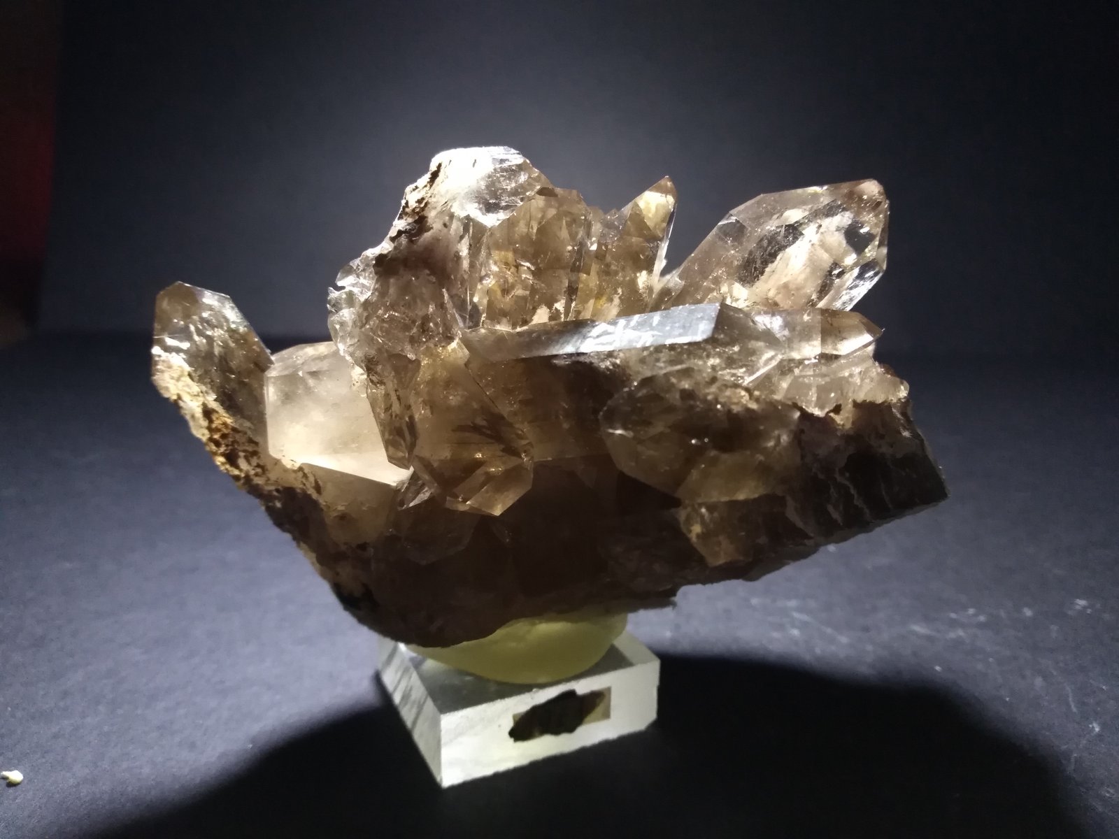 Quartz (variety smoky)
97 x 65 mm
(Autor: Sante Celiberti)