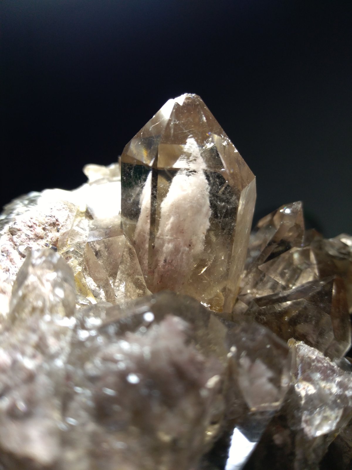 Quartz (variety smoky)
97 x 65 mm
(Autor: Sante Celiberti)