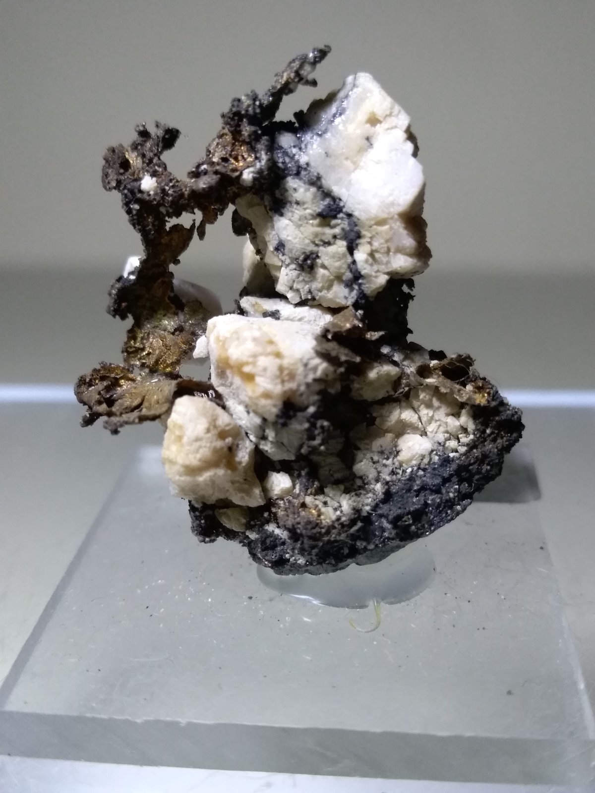 Silver, Acanthite
30 x 25 mm
(Autor: Sante Celiberti)