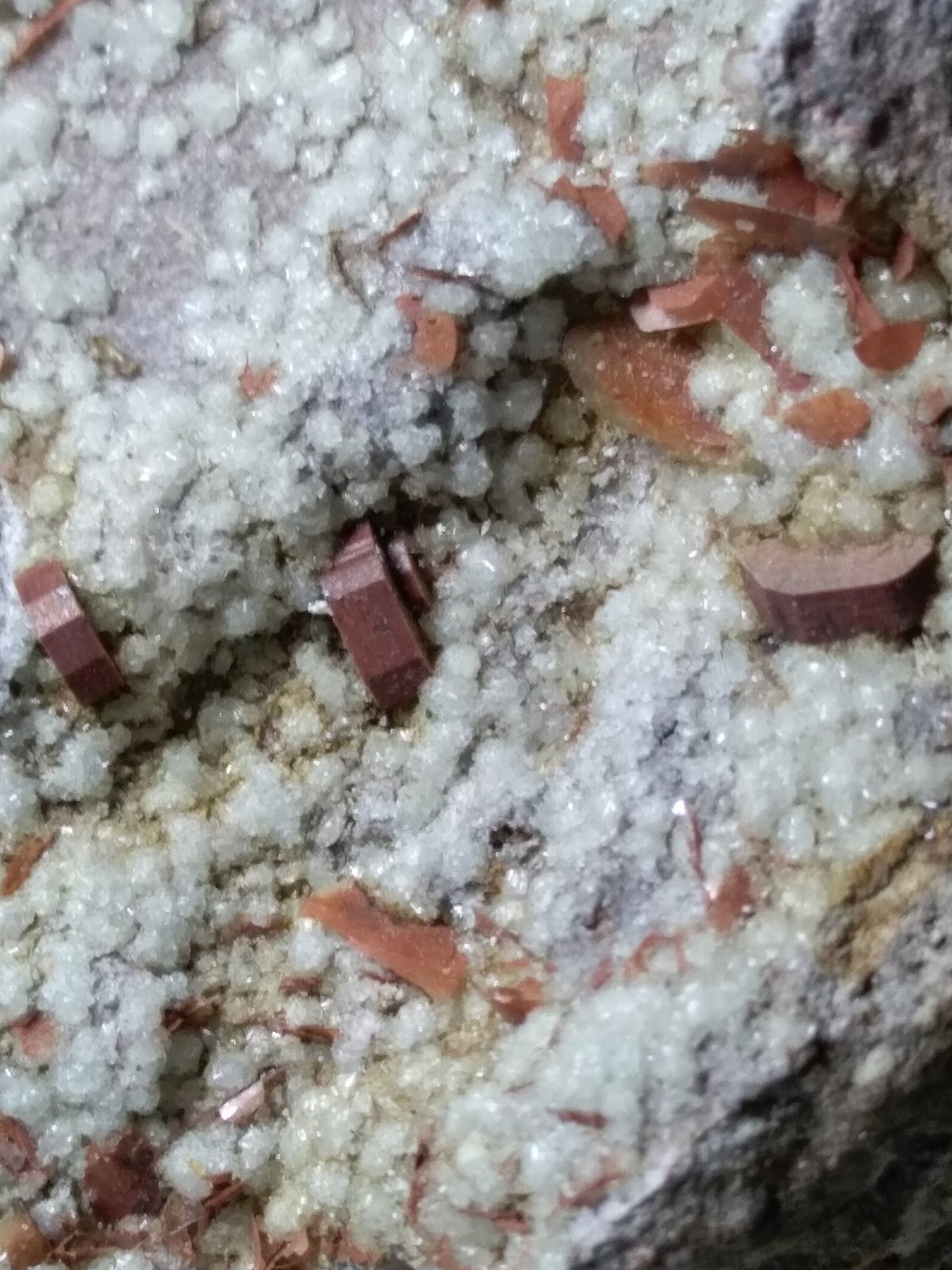 Cordierite, Muscovite, Tridymite
75 x 73 mm
(Autor: Sante Celiberti)