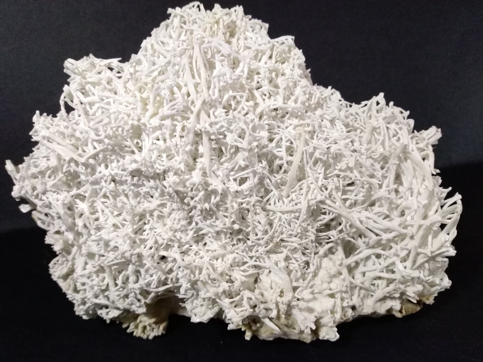 Aragonite (variety flos ferri)
16,5 x 14 cm
(Autor: Sante Celiberti)