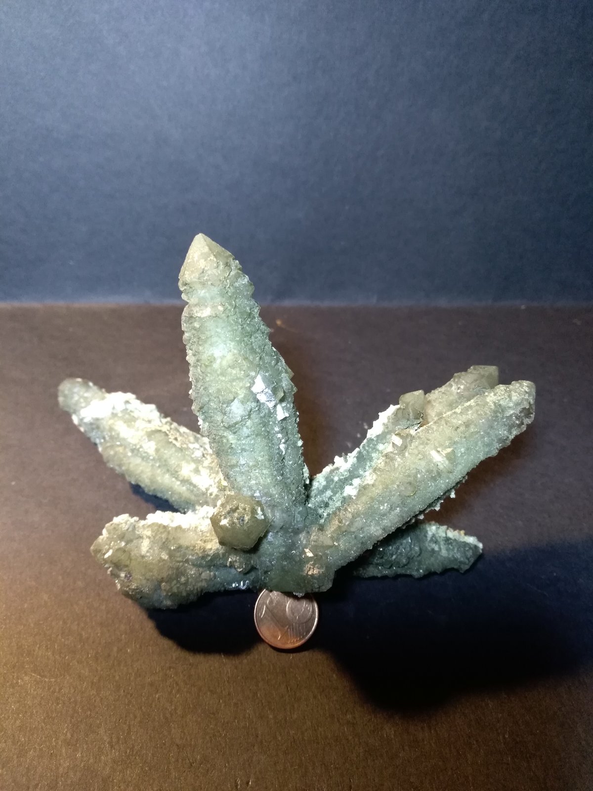 Quartz
13,5 x 9 cm
(Autor: Sante Celiberti)