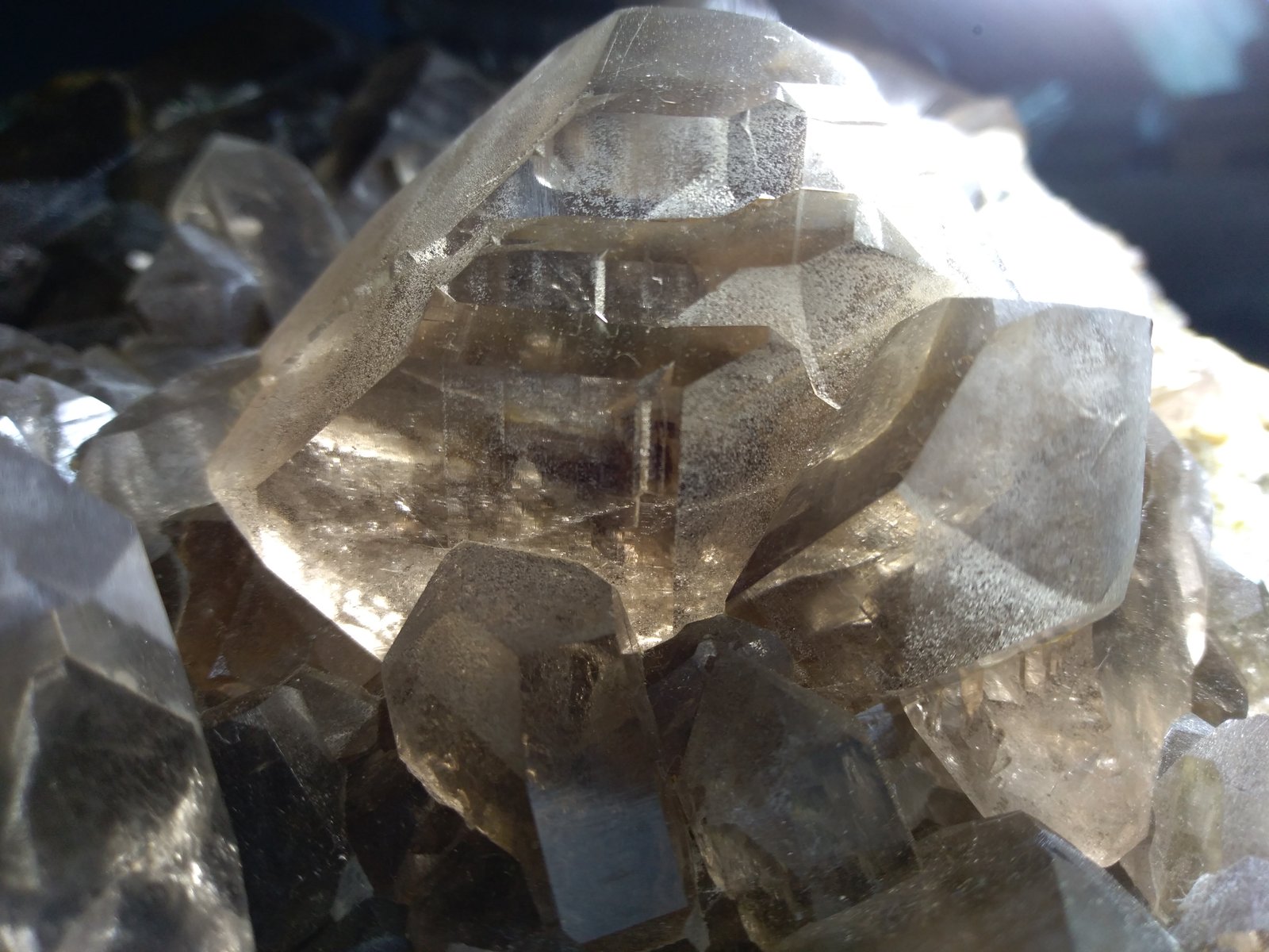 Quartz (variety smoky)
40 x 25 cm
(Autor: Sante Celiberti)