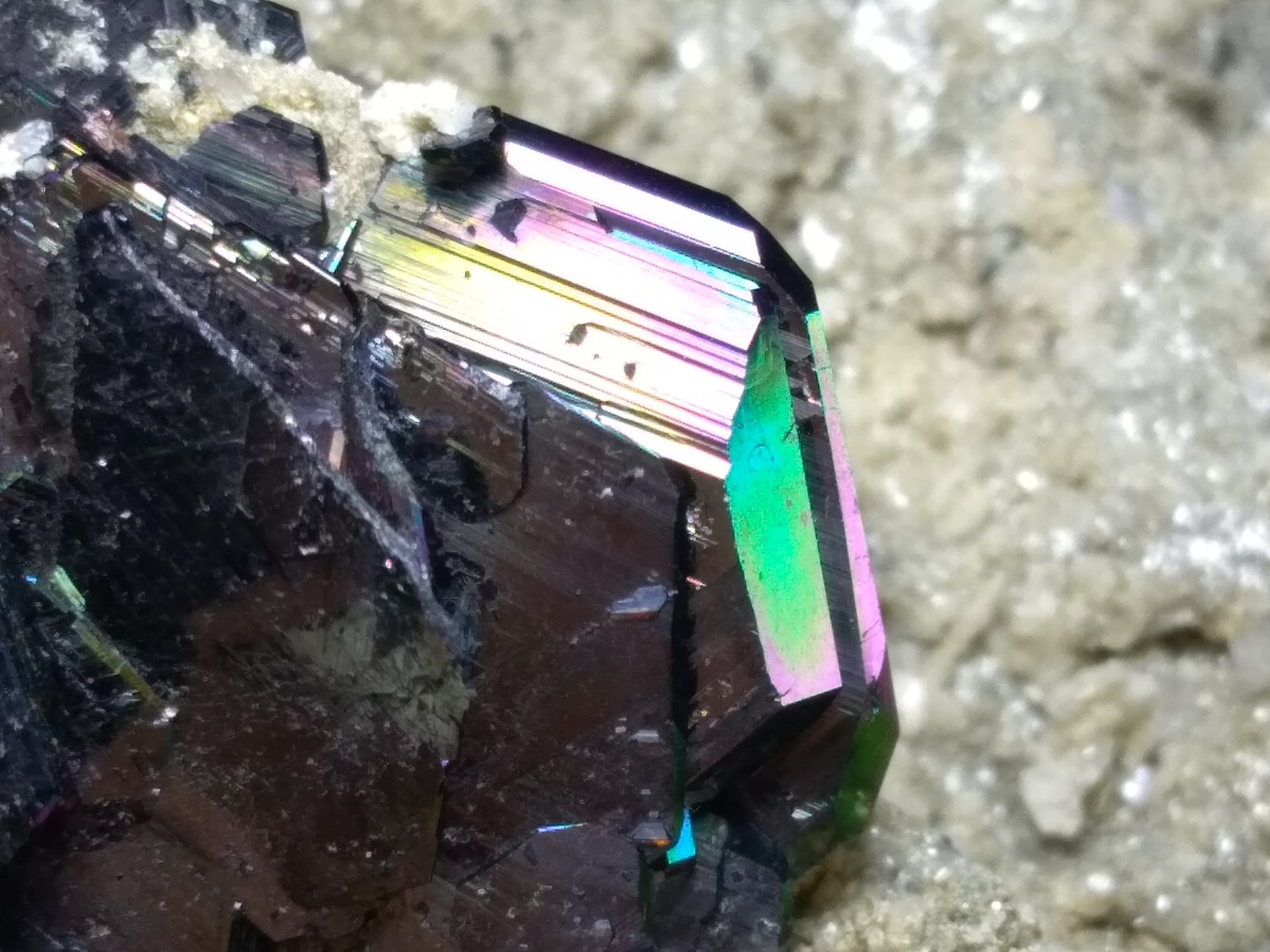 Hematite
83 x 50 mm
(Autor: Sante Celiberti)