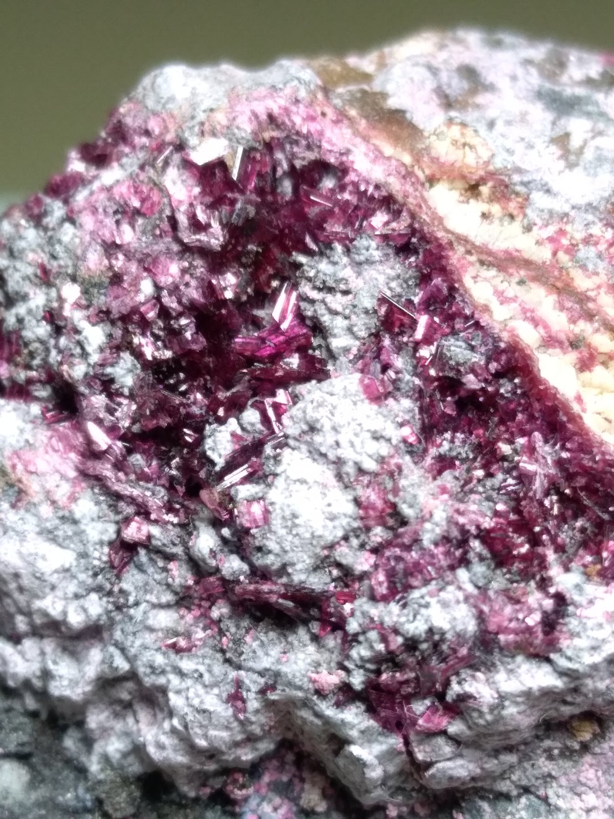Erythrite
41 x 30 mm
(Autor: Sante Celiberti)