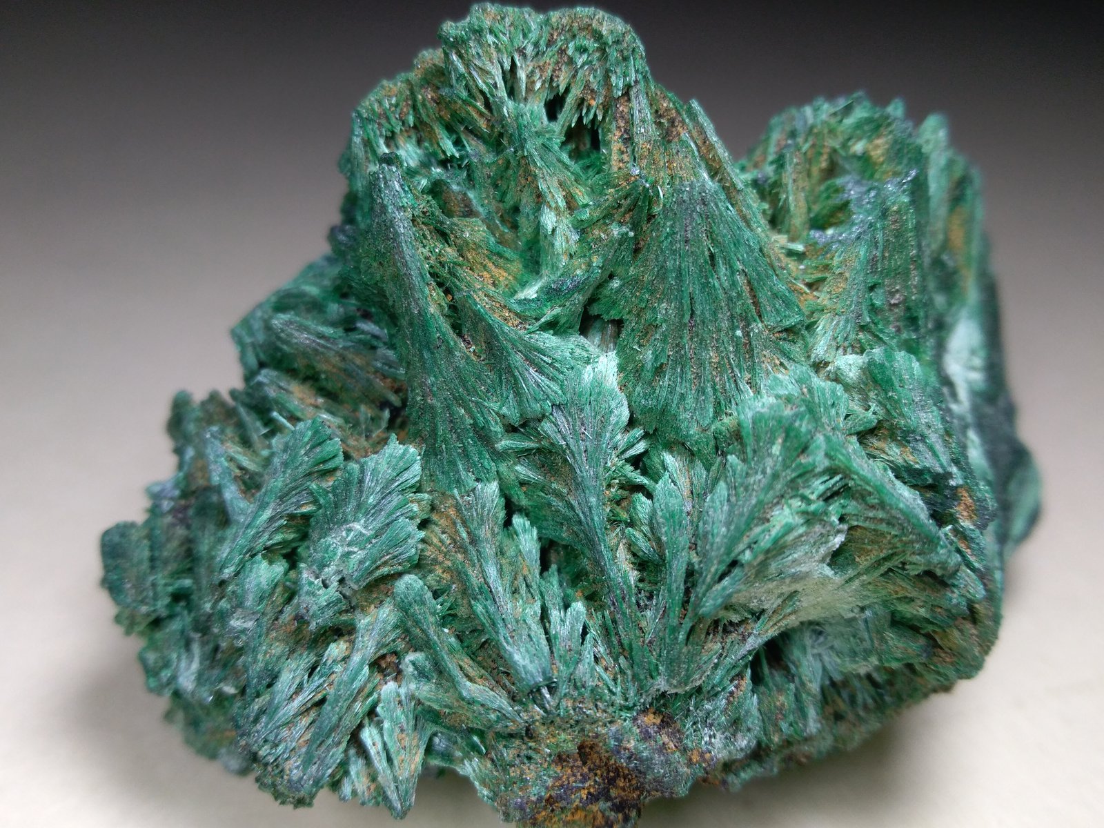 Malachite
59 x 42 mm
(Autor: Sante Celiberti)