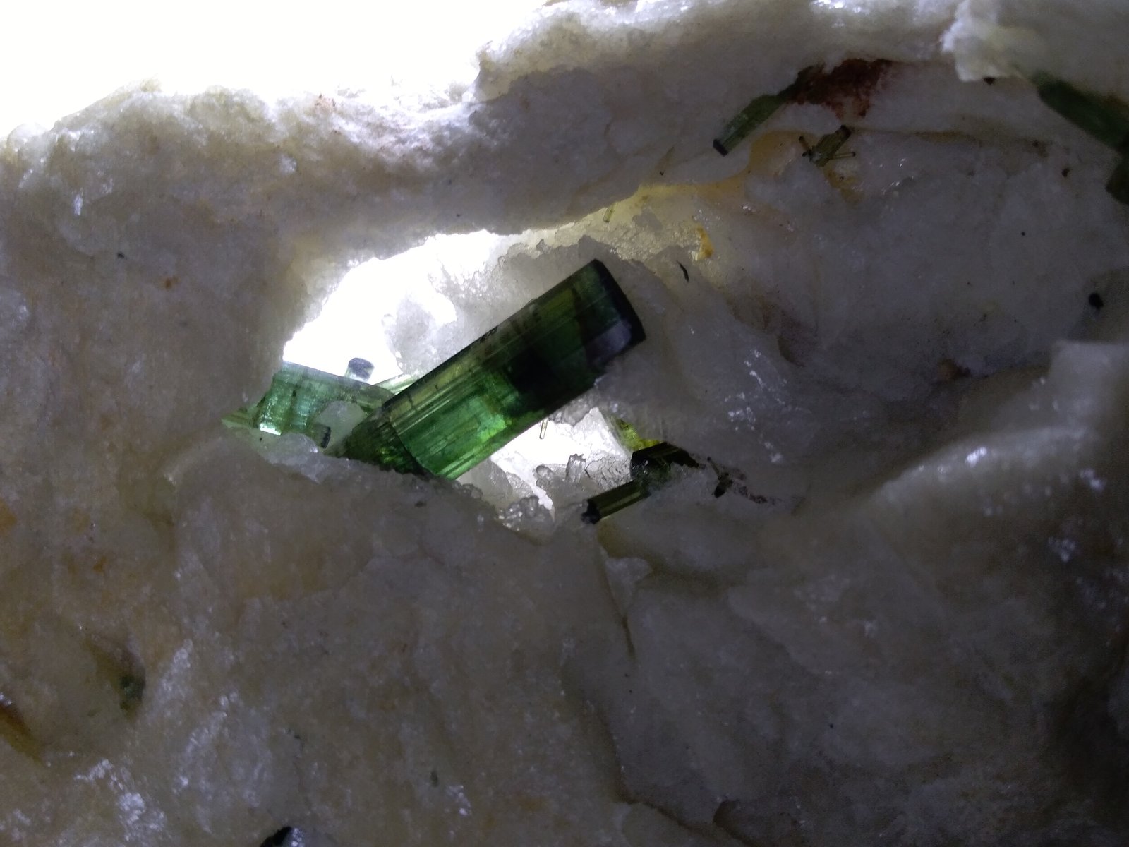 Tourmaline
11 x 7,5 cm
(Autor: Sante Celiberti)