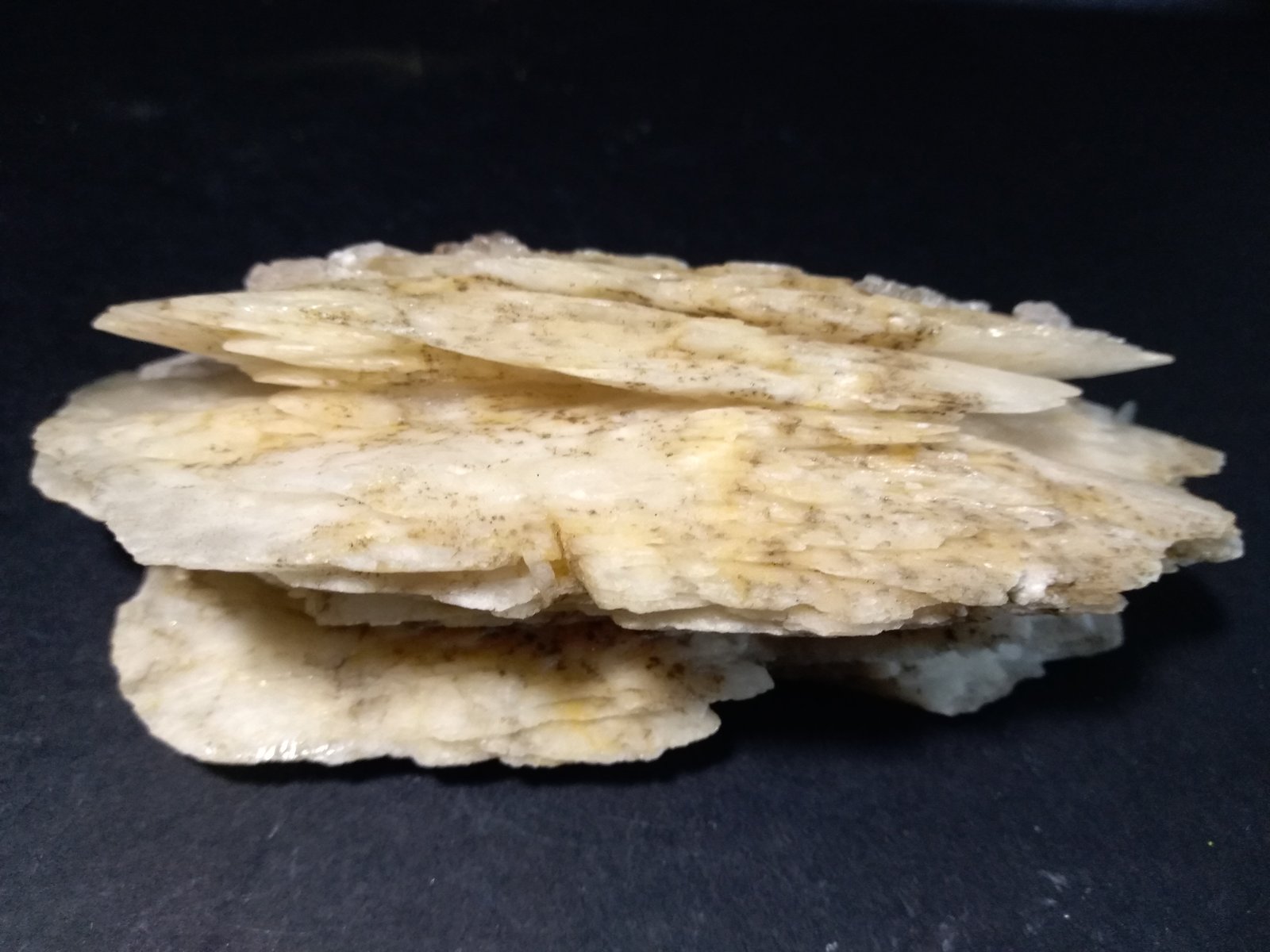 Baryte
12,5 x 7,5 cm
(Autor: Sante Celiberti)