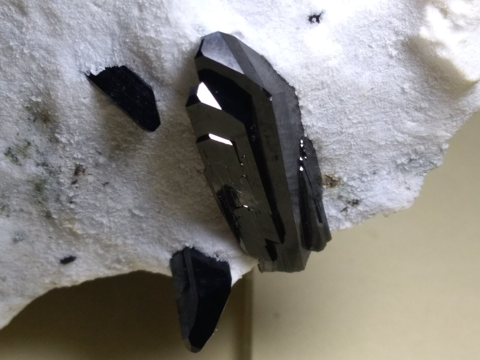 Neptunite
91 x 63 mm
(Autor: Sante Celiberti)