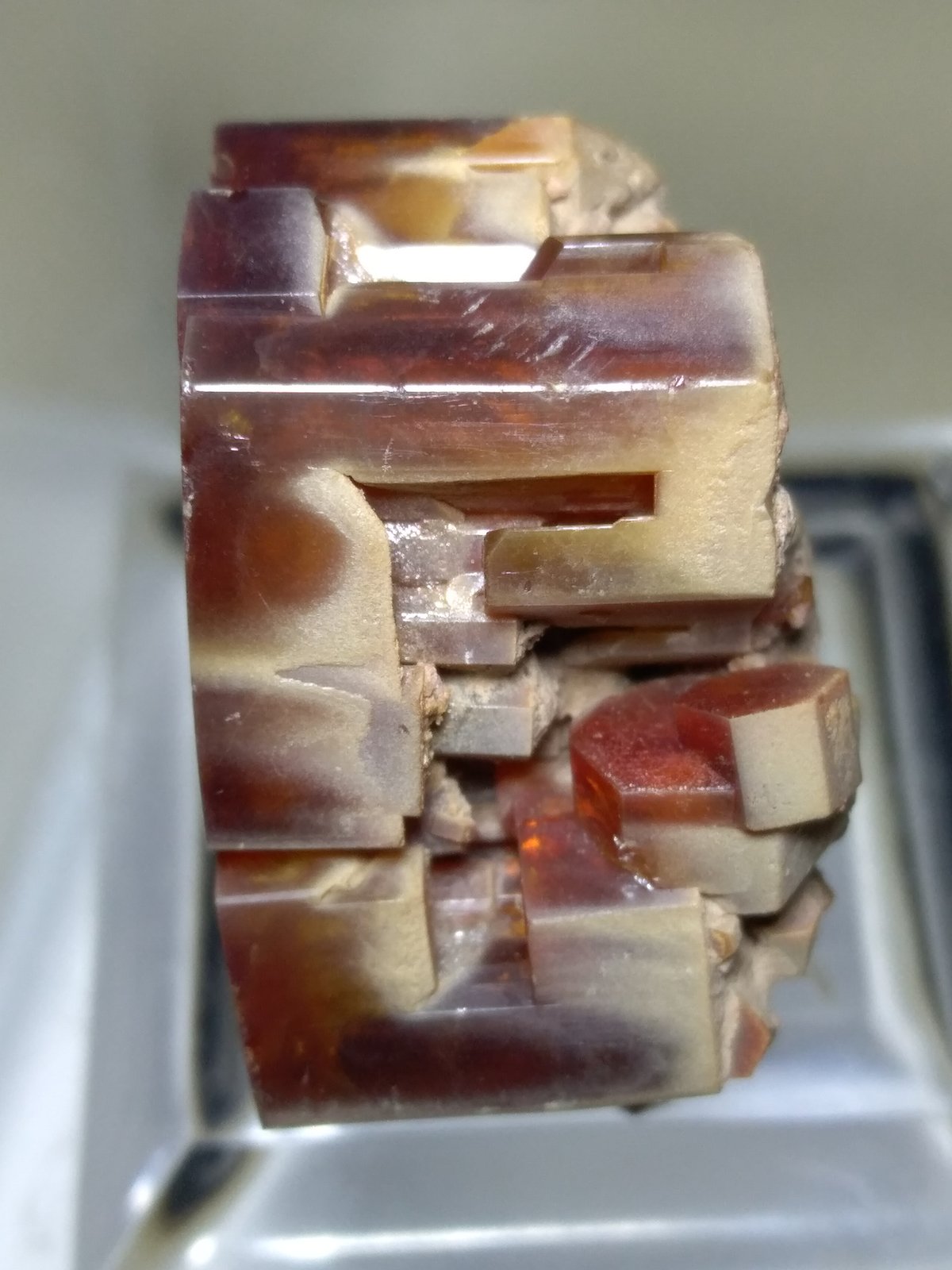 Vanadinite
30 x 26 mm
(Autor: Sante Celiberti)