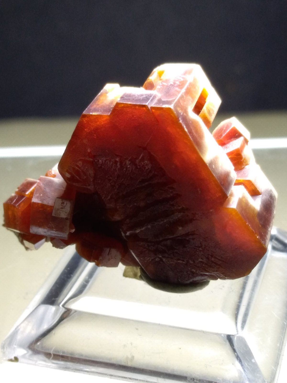 Vanadinite
30 x 26 mm
(Autor: Sante Celiberti)