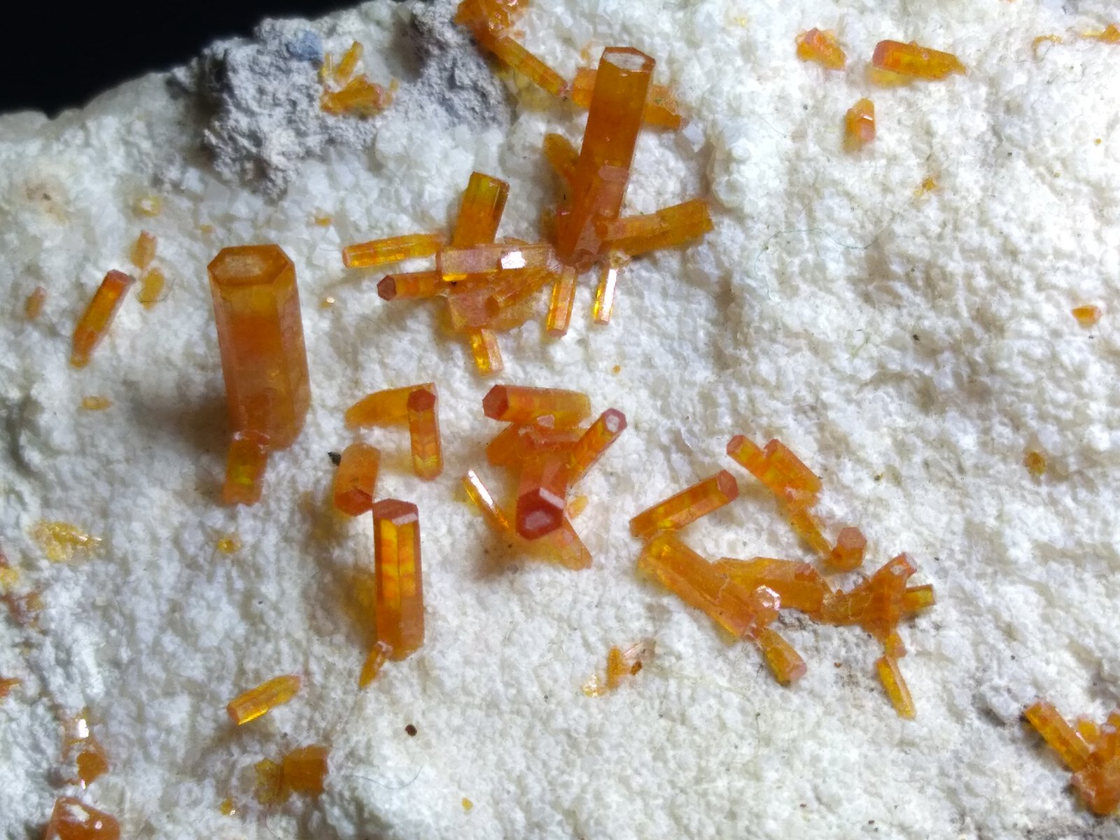 Vanadinite
77 x 40 mm
(Autor: Sante Celiberti)