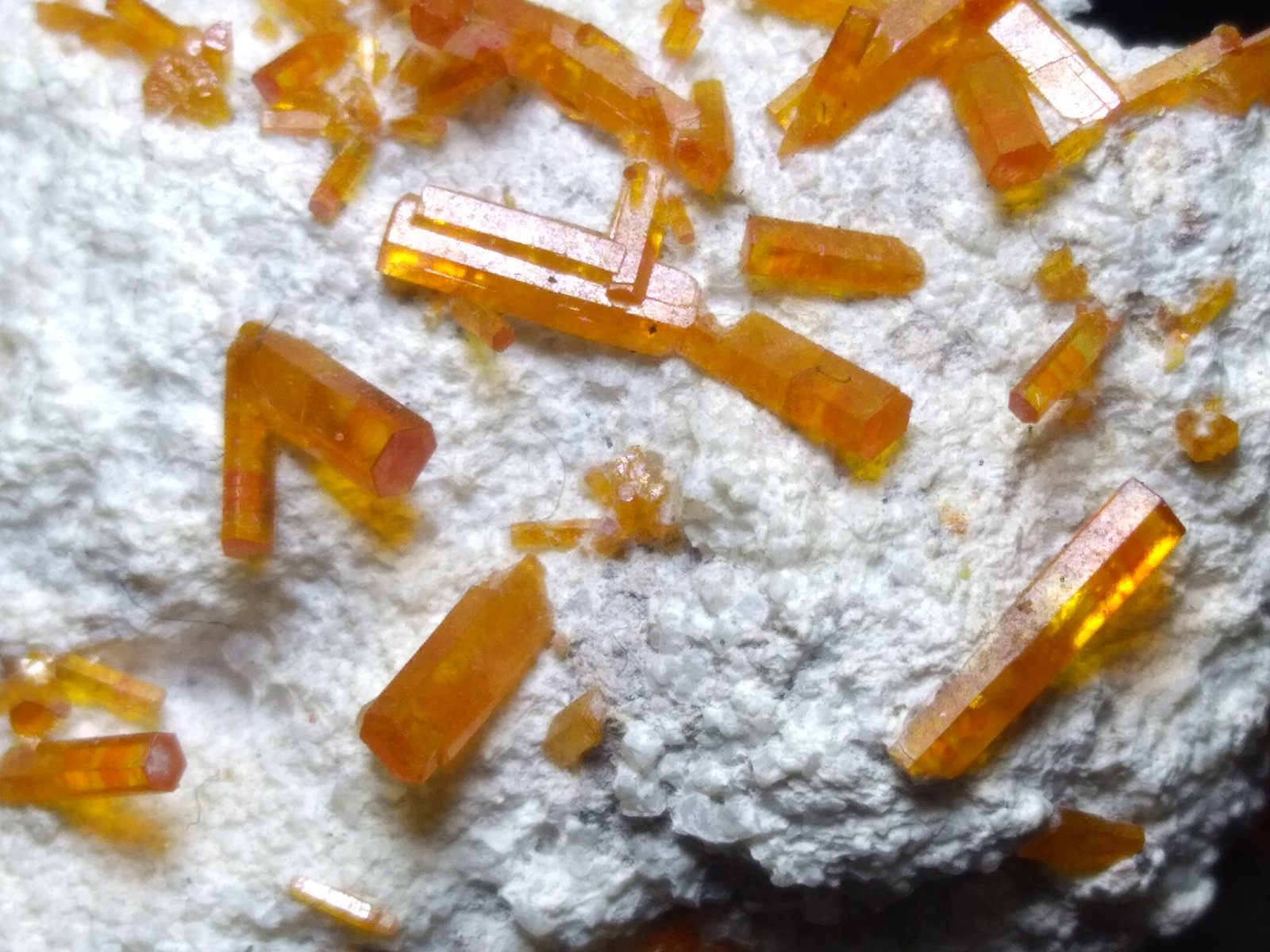 Vanadinite
77 x 40 mm
(Autor: Sante Celiberti)