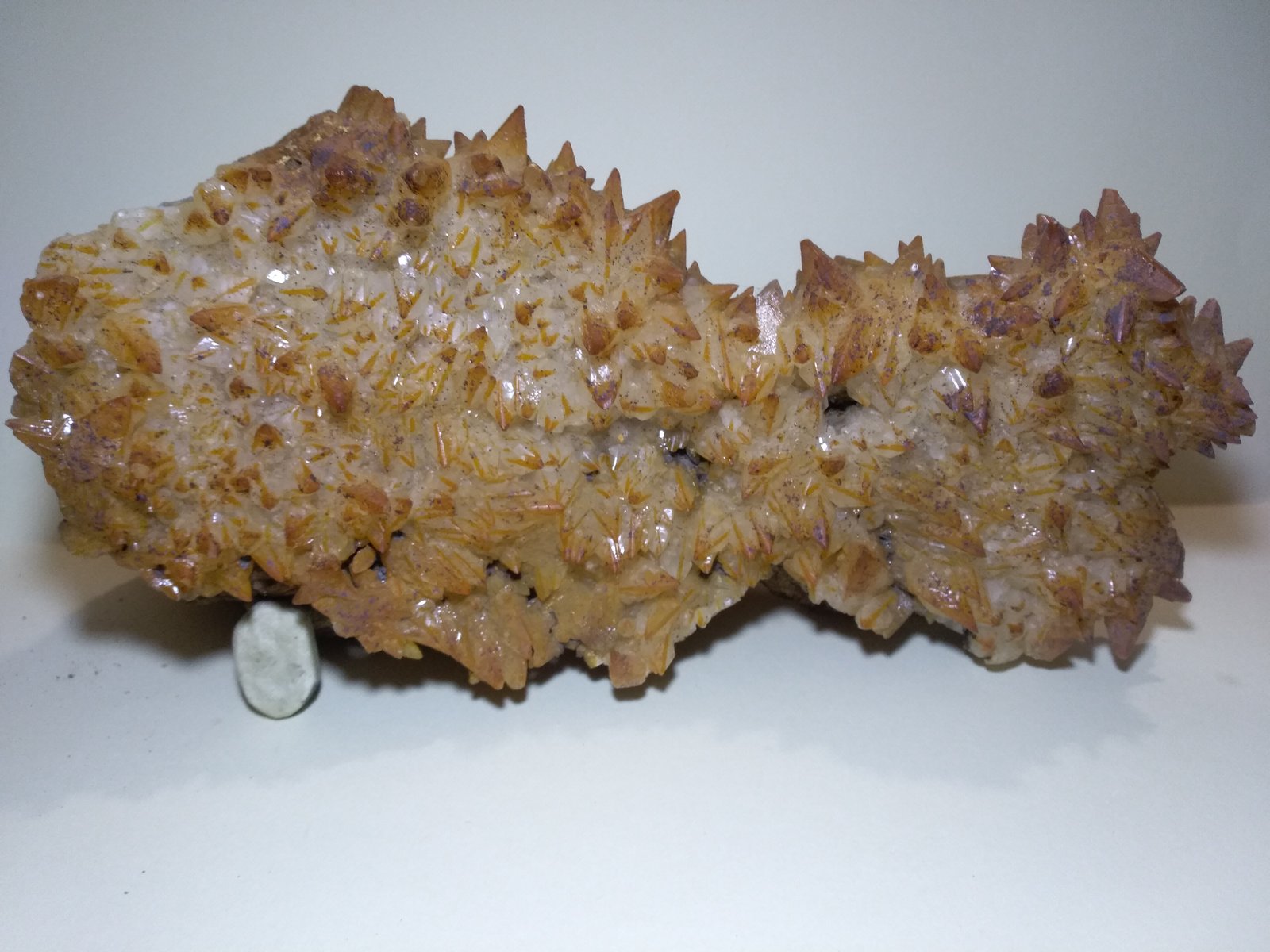 Calcite
30 x 14 cm
(Autor: Sante Celiberti)