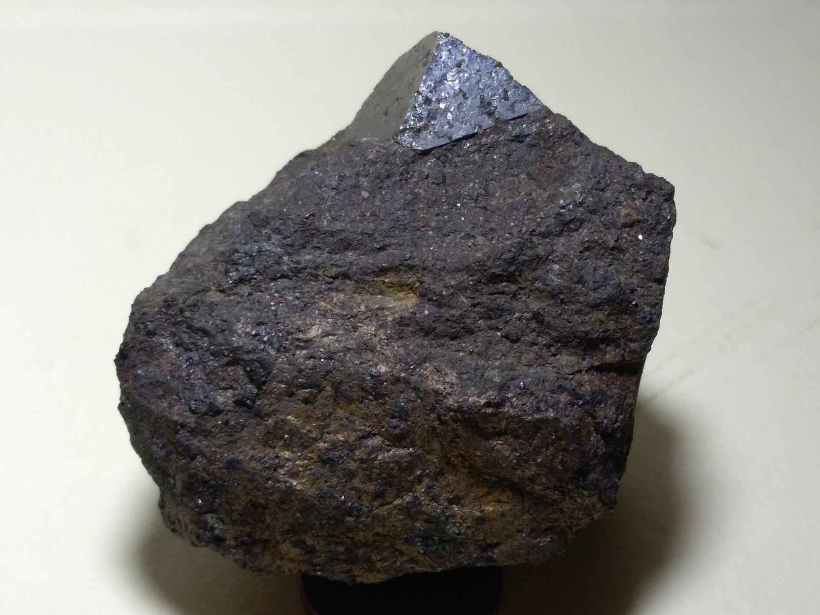 Glaucodot
52 x 49 mm
(Autor: Sante Celiberti)
