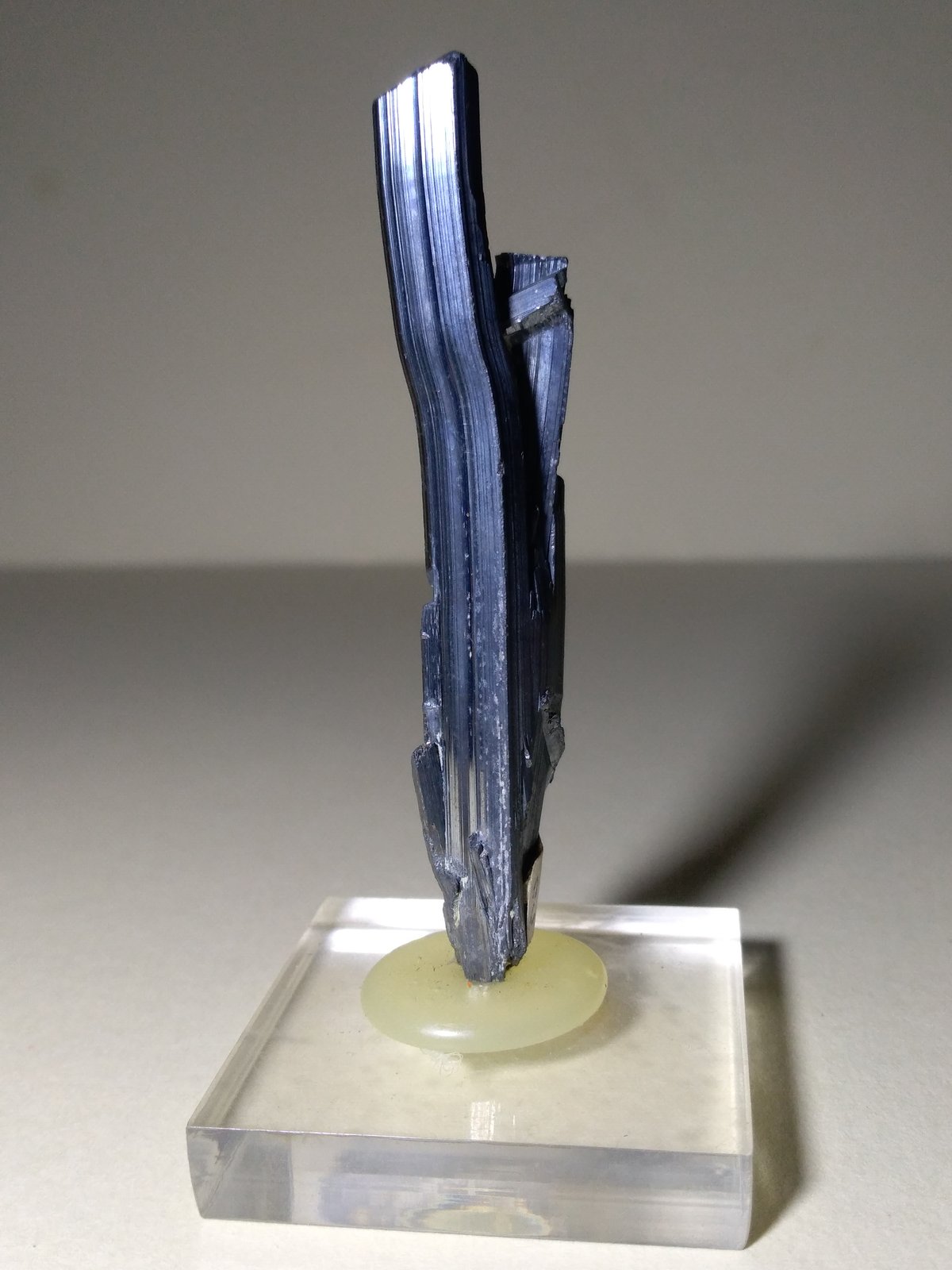 Stibnite
74 x 13 mm
(Autor: Sante Celiberti)