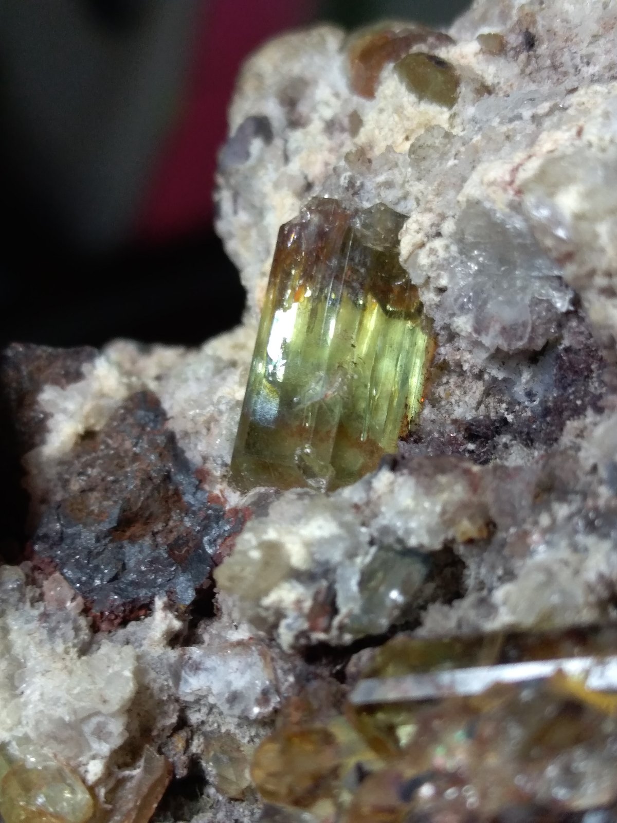 Fluorapatite, Hematite after Magnetite (variety martite)
69 x 51 mm
(Autor: Sante Celiberti)