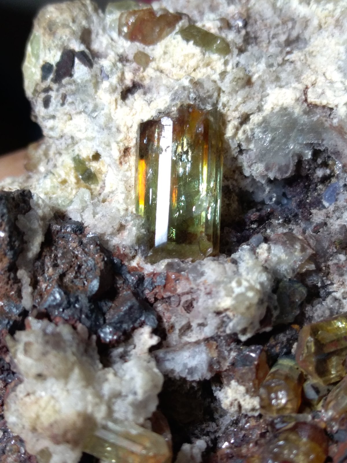 Fluorapatite, Hematite after Magnetite (variety martite)
69 x 51 mm
(Autor: Sante Celiberti)